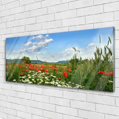 Quadro in vetro Prato Fiori Natura Pianta