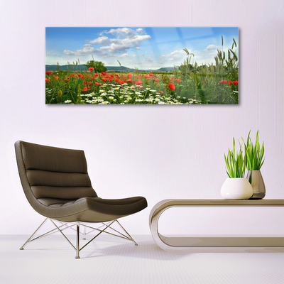 Quadro in vetro Prato Fiori Natura Pianta