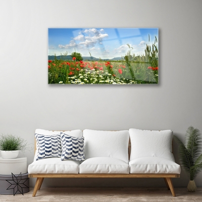 Quadro in vetro Prato Fiori Natura Pianta