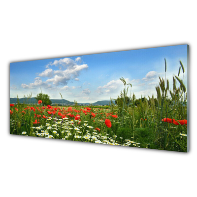 Quadro in vetro Prato Fiori Natura Pianta