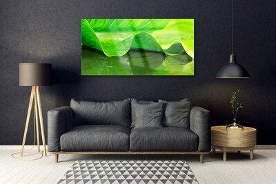 Quadro in vetro Foglia Pianta Natura