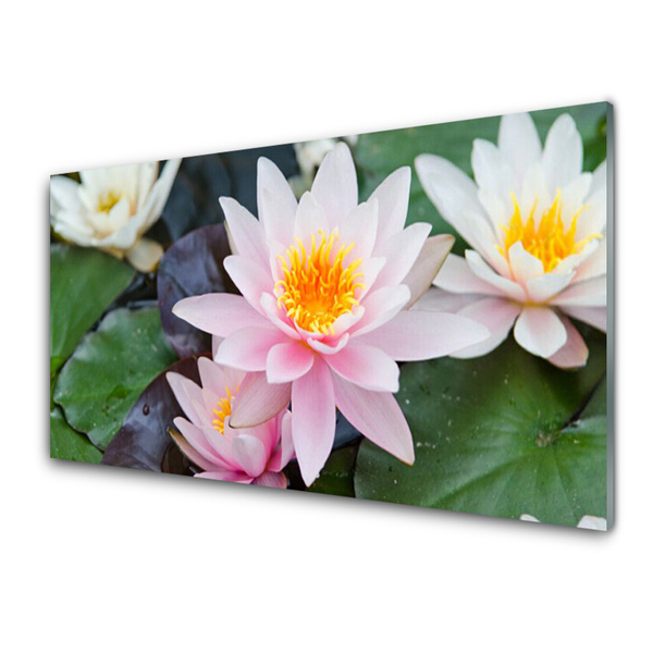 Quadro in vetro Fiori Pianta naturale