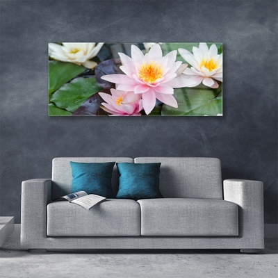 Quadro in vetro Fiori Pianta naturale