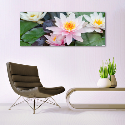 Quadro in vetro Fiori Pianta naturale