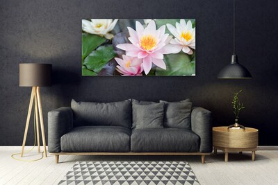 Quadro in vetro Fiori Pianta naturale