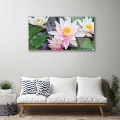 Quadro in vetro Fiori Pianta naturale