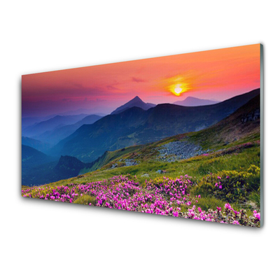 Quadro in vetro Montagne Prato Fiori Paesaggio