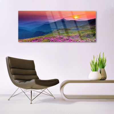 Quadro in vetro Montagne Prato Fiori Paesaggio