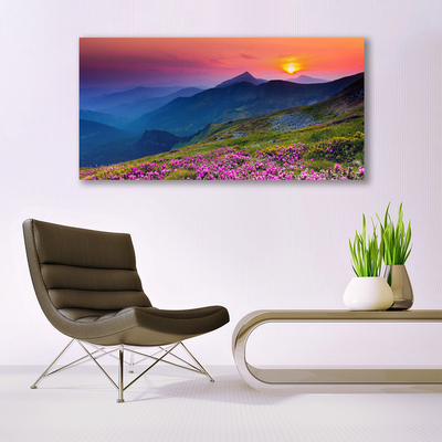 Quadro in vetro Montagne Prato Fiori Paesaggio