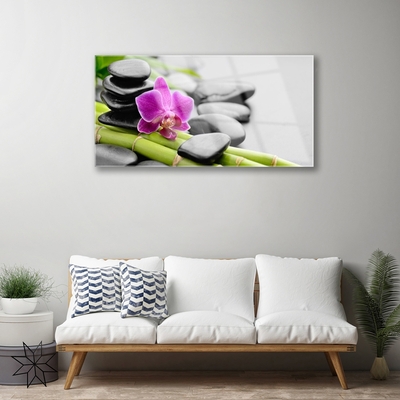 Quadro vetro Pietre di fiori di bambù Arte