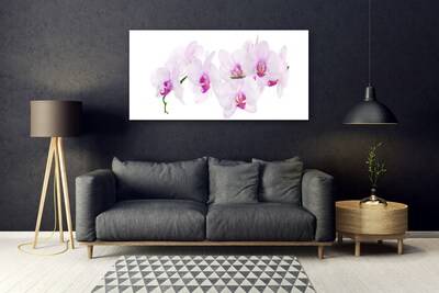 Quadro in vetro Fiori Pianta naturale