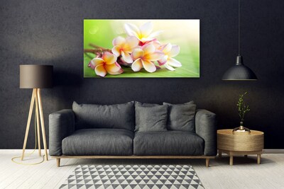 Quadro su vetro Fiori Pianta naturale