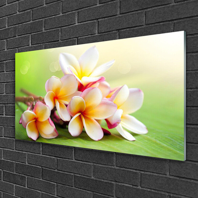 Quadro su vetro Fiori Pianta naturale