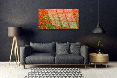 Quadro di vetro Papaveri Pianta Naturale