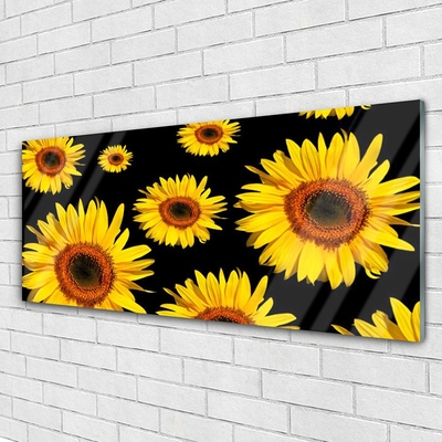 Quadro vetro Girasoli Natura Pianta