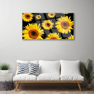 Quadro vetro Girasoli Natura Pianta