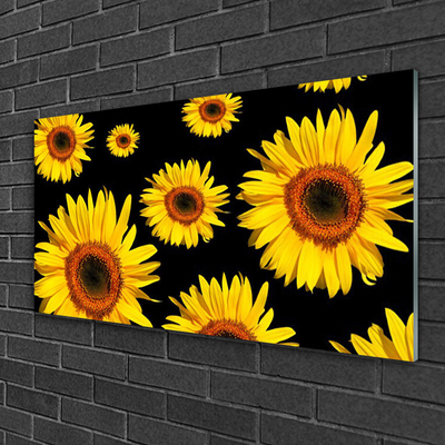 Quadro vetro Girasoli Natura Pianta