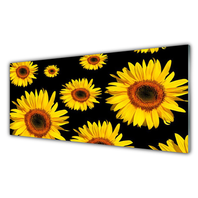 Quadro vetro Girasoli Natura Pianta