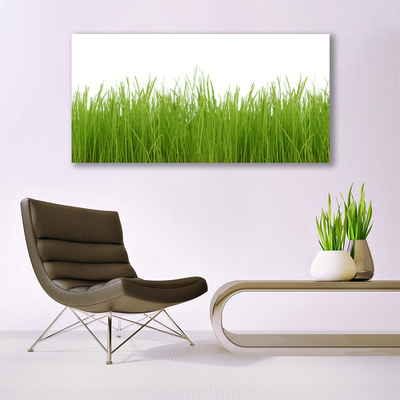 Quadro di vetro Erba Pianta Natura