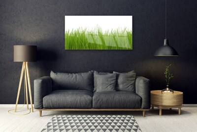 Quadro di vetro Erba Pianta Natura