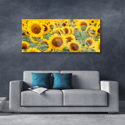 Quadro in vetro Girasoli Natura Pianta