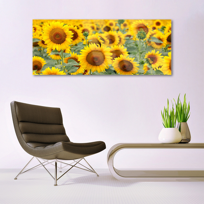 Quadro in vetro Girasoli Natura Pianta