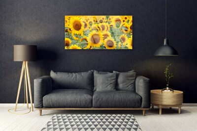 Quadro in vetro Girasoli Natura Pianta