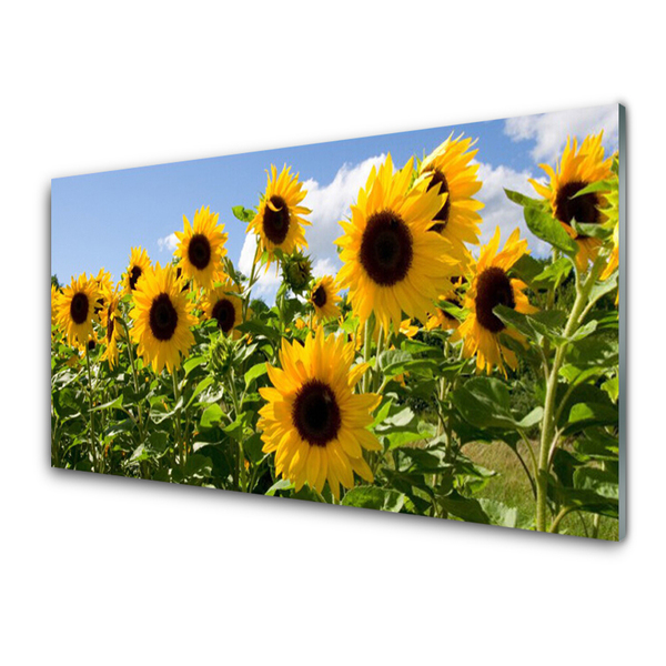 Quadro di vetro Pianta di girasole