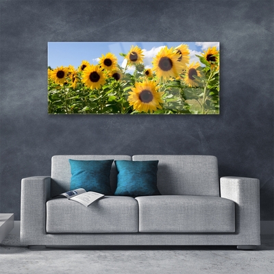 Quadro di vetro Pianta di girasole