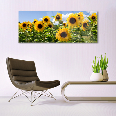 Quadro di vetro Pianta di girasole