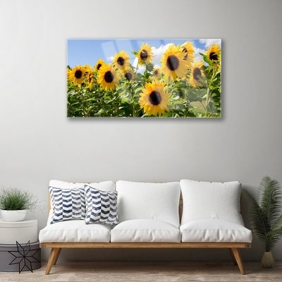 Quadro di vetro Pianta di girasole