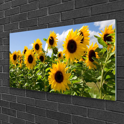 Quadro di vetro Pianta di girasole