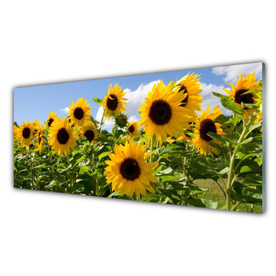 Quadro di vetro Pianta di girasole