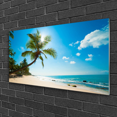 Quadro in vetro Palm Tree Beach Landscape