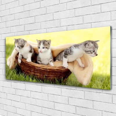 Quadro su vetro Gatti Animali