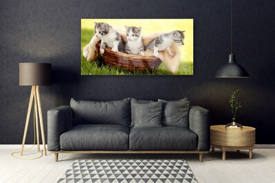 Quadro su vetro Gatti Animali