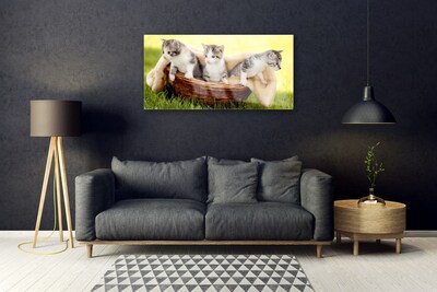 Quadro su vetro Gatti Animali