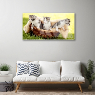 Quadro su vetro Gatti Animali