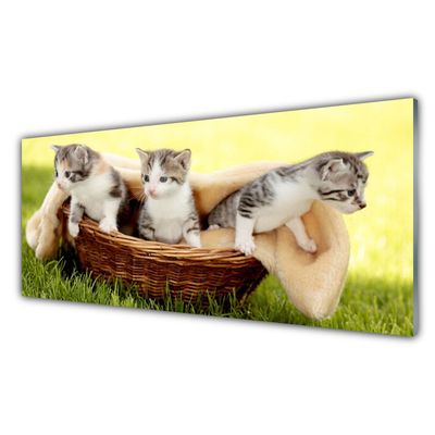 Quadro su vetro Gatti Animali