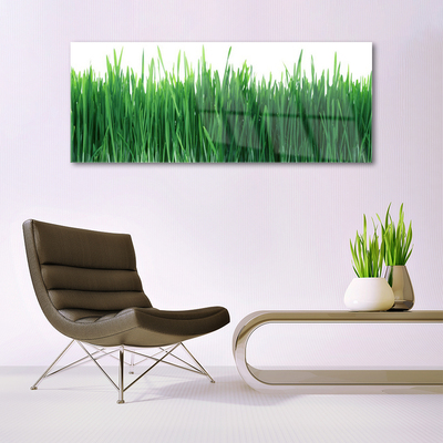 Quadro di vetro Erba Natura Pianta