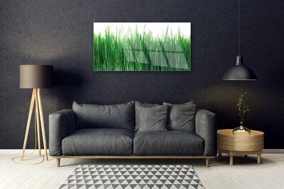 Quadro di vetro Erba Natura Pianta