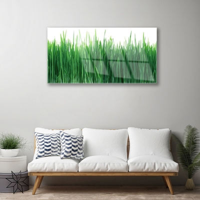 Quadro di vetro Erba Natura Pianta