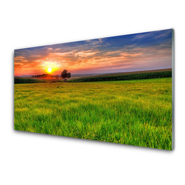 Quadro di vetro Prato Sole Natura