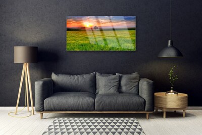 Quadro di vetro Prato Sole Natura