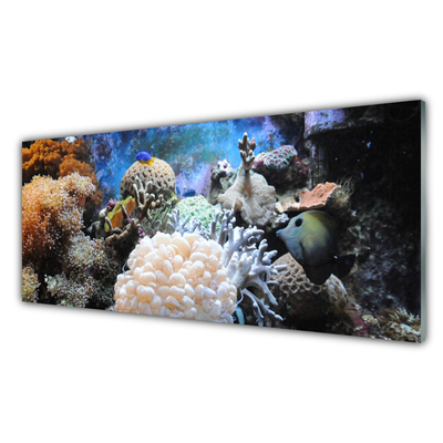 Quadro vetro Natura della barriera corallina