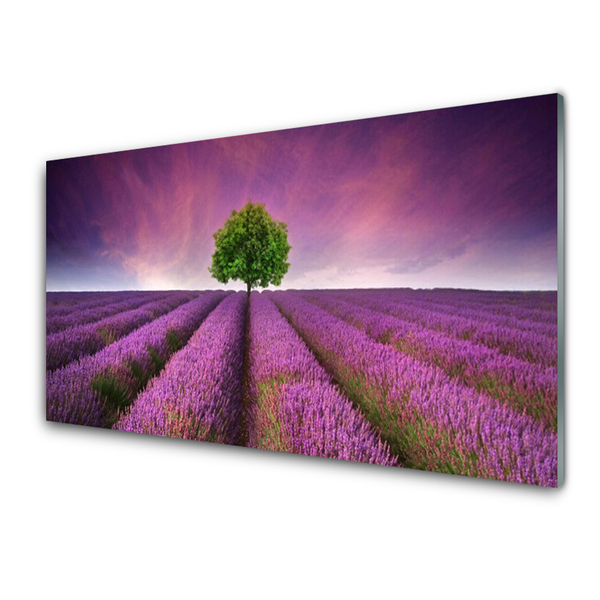 Quadro di vetro Prato Albero Natura