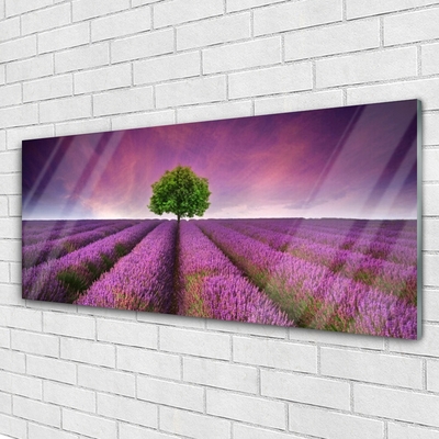 Quadro di vetro Prato Albero Natura