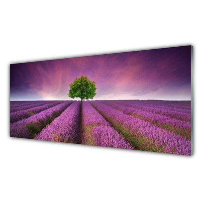 Quadro di vetro Prato Albero Natura