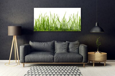 Quadro in vetro Erba Natura Pianta