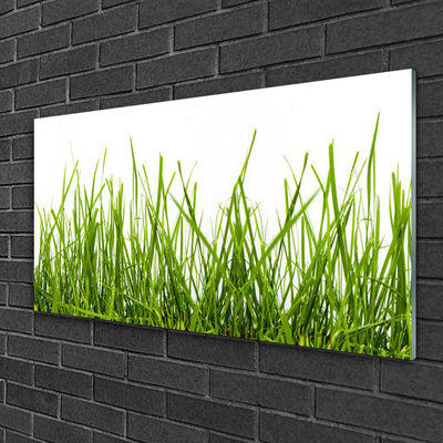 Quadro in vetro Erba Natura Pianta